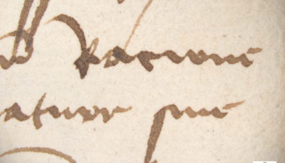 Foix, E 265, f. 28. Agrandissement x8